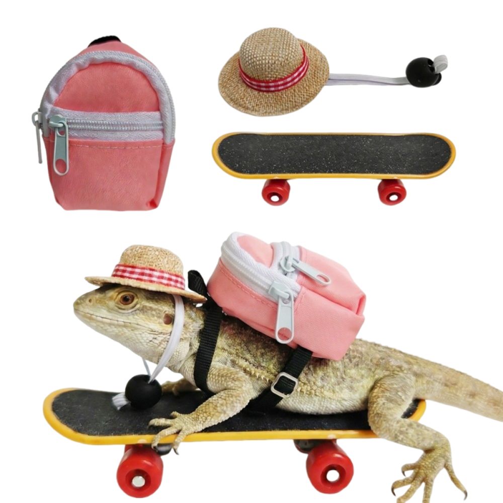 Creative Pet Skateboard Toys S - Model Kit Lizard recension och pris