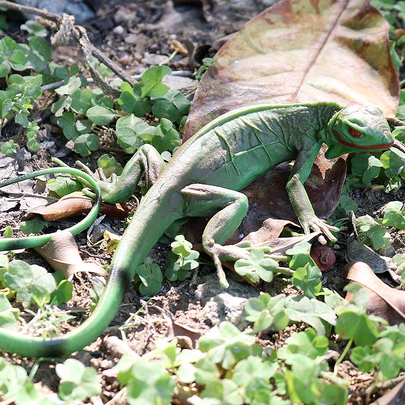 Oenux Farm Wild Model Simulati - Model Kit Lizard recension och pris