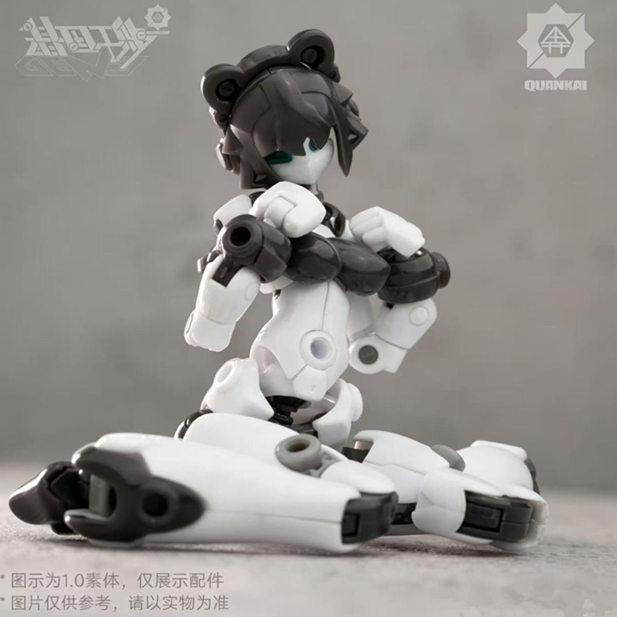 Kit Gene Interference Series Q - Model Kit China recension och pris