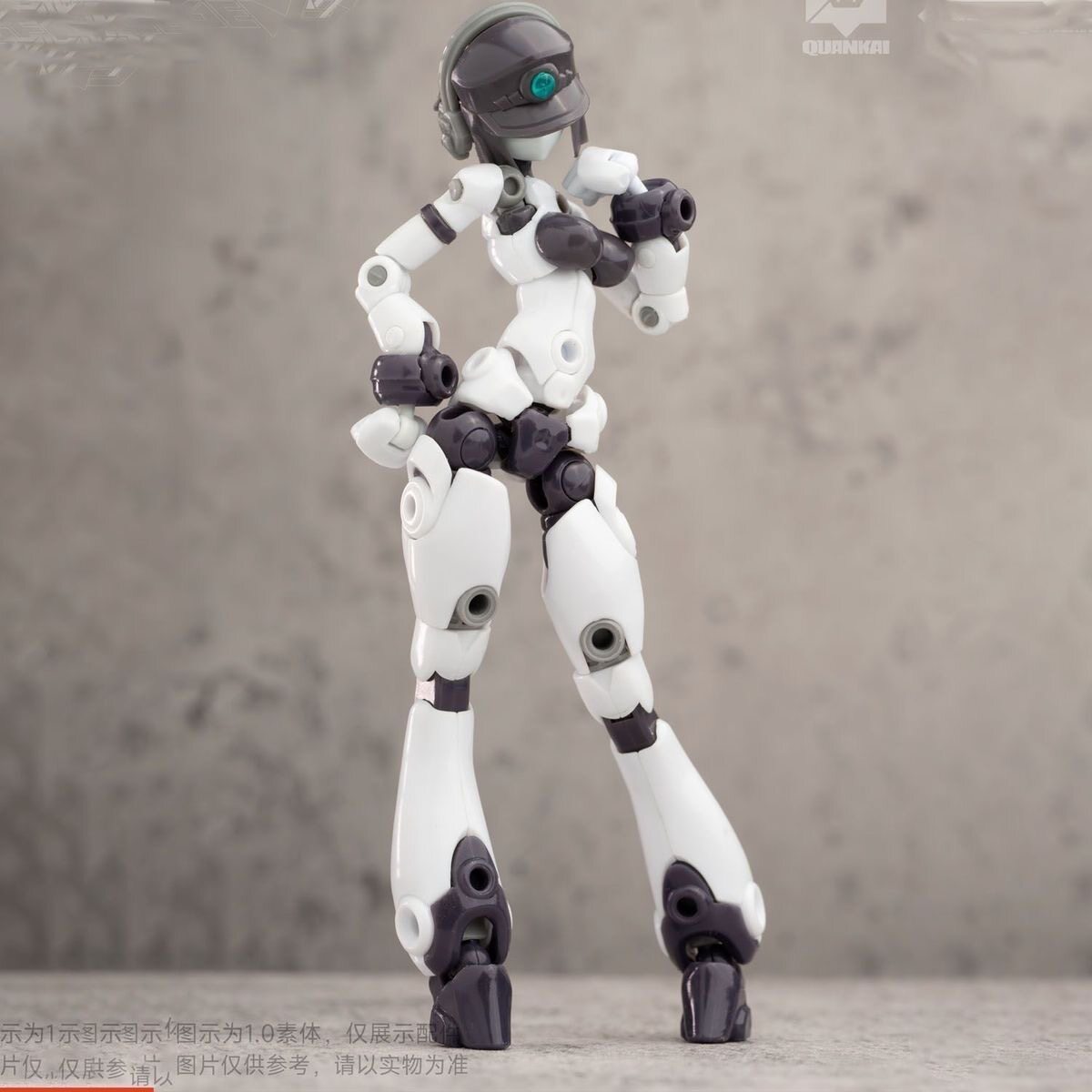 Kit Gene Interference Series Q - Model Kit China recension och pris